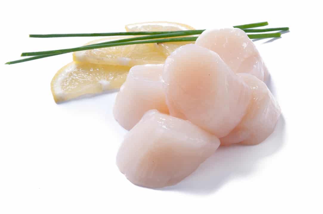 coquille